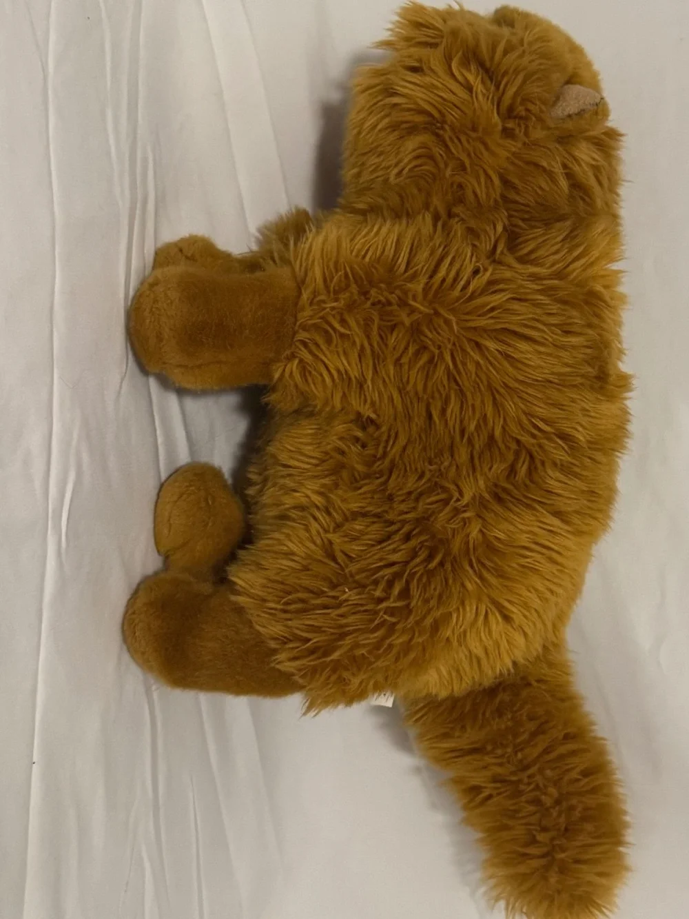 Crookshanks Stuffed Animal, Harry Potter